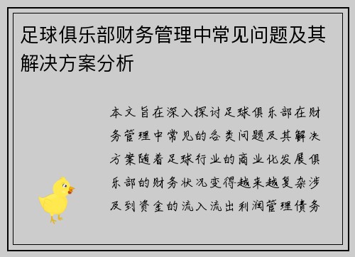 足球俱乐部财务管理中常见问题及其解决方案分析