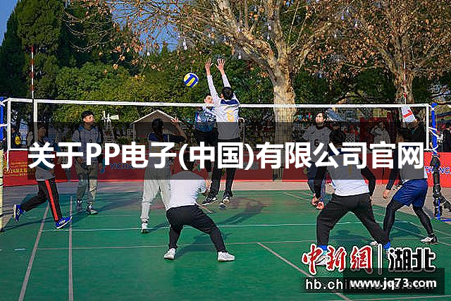 关于PP电子(中国)有限公司官网
