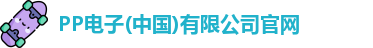 PP电子(中国)有限公司官网